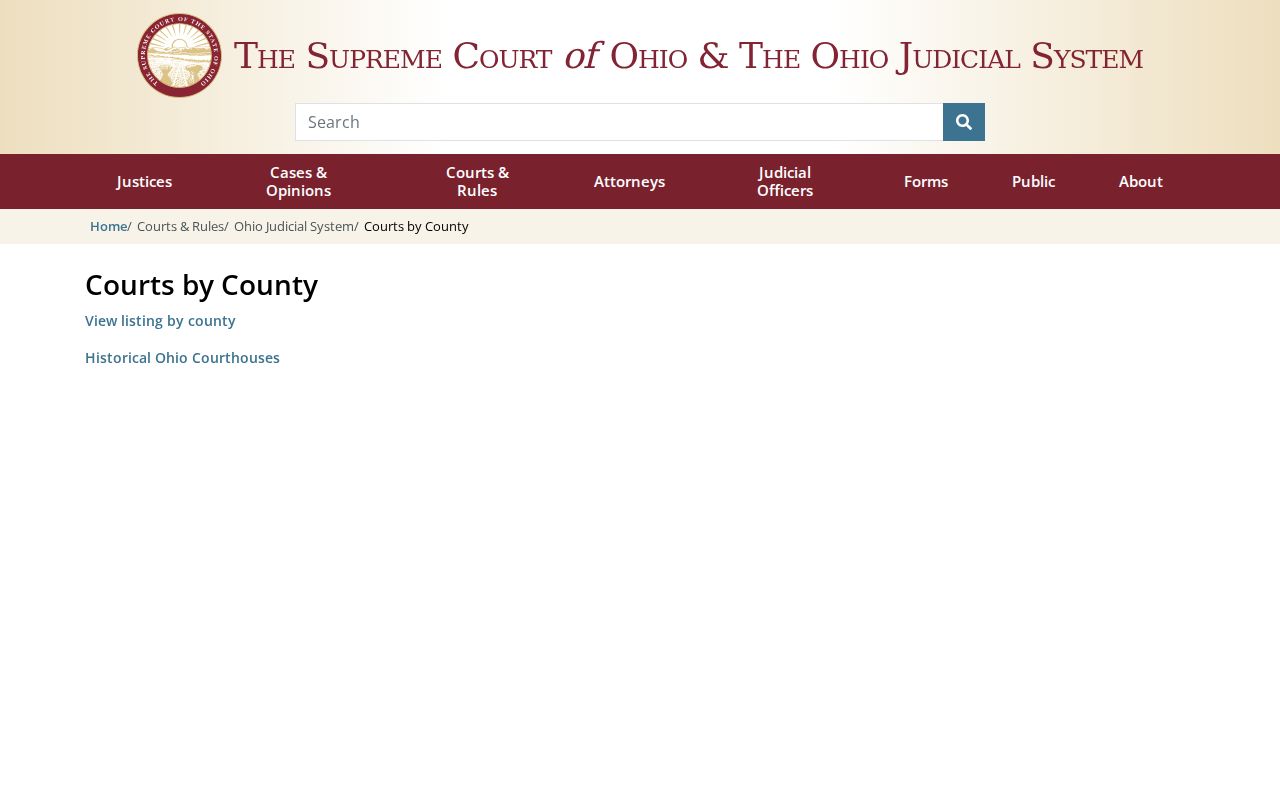 Coshocton County case lookup and Ohio trial courts directory